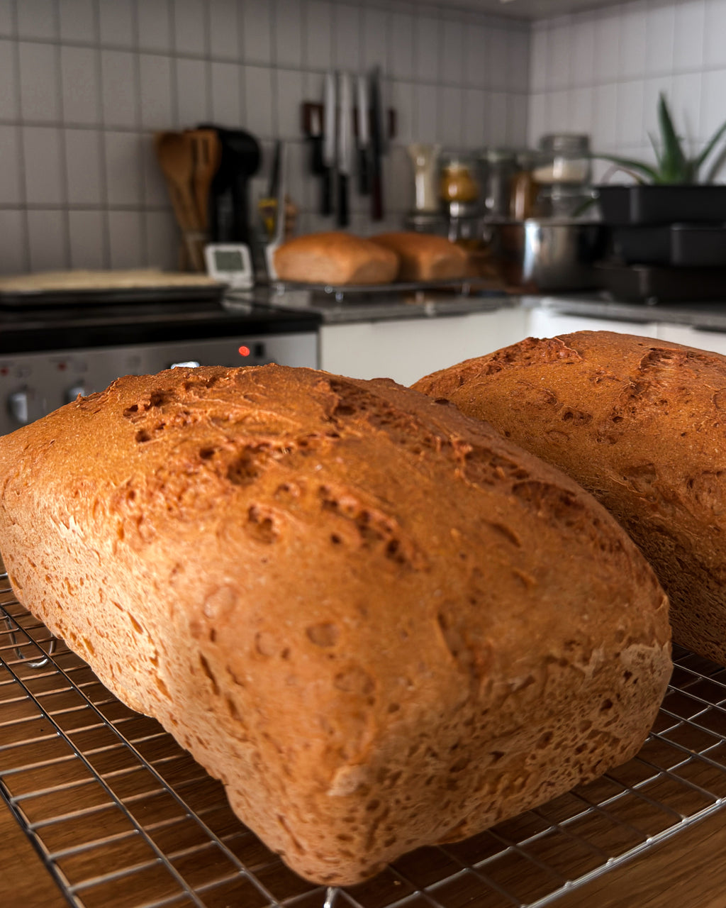 Classic White Bread